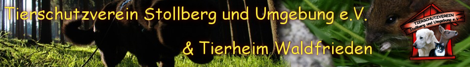 Banner Tierschutzstollberg.de